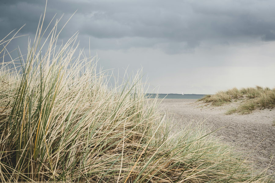 Amager Strandpark Kopenhagen