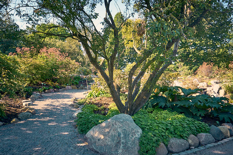 Botanischer Garten Kopenhagen