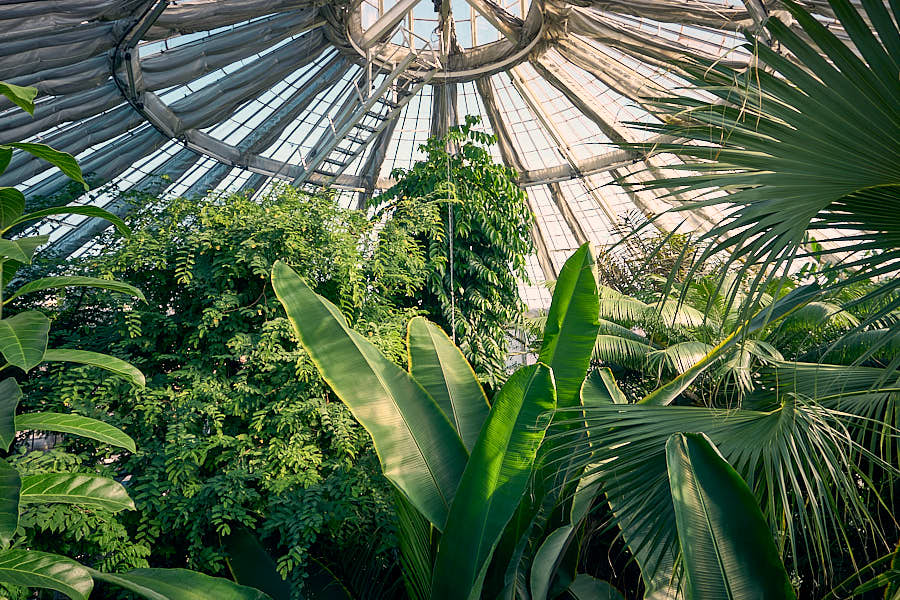 Palmenhaus Botanischer Garten Kopenhagen