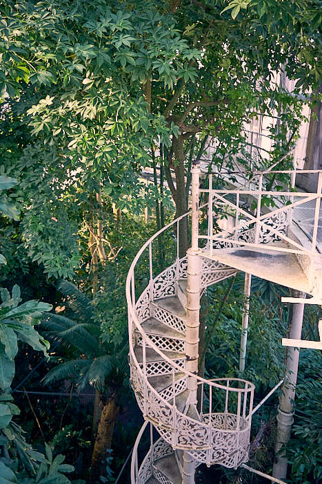 Palmehuset Wendeltreppe