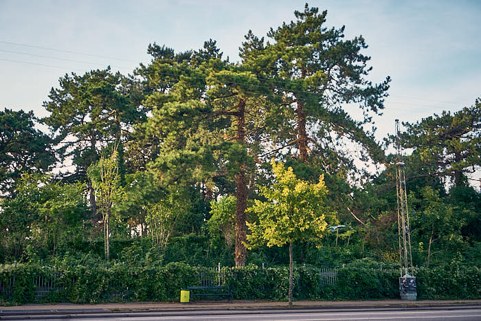 Botanisk Have Blick von Straße Øster Voldgade