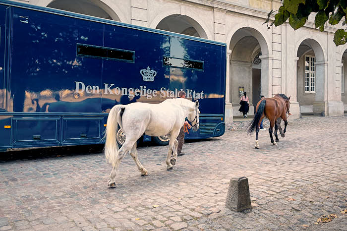 Pferde aus den Königlichen Stallungen Christiansborg Slot