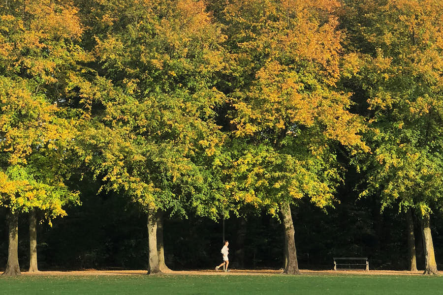 Søndermarken Park Kopenhagen