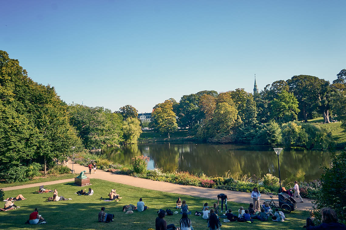 Ørstedsparken Kopenhagen Picknick Sommer